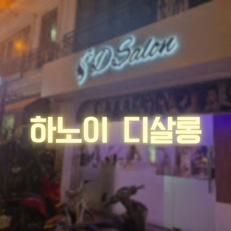 하노이 디살롱 소개 및 가격 후기 정리