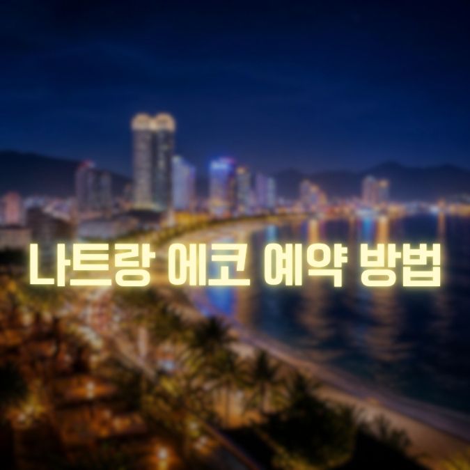 나트랑 에코 이용 당일 만남부터 일정 종료까지 알아두면 좋은 이용 팁