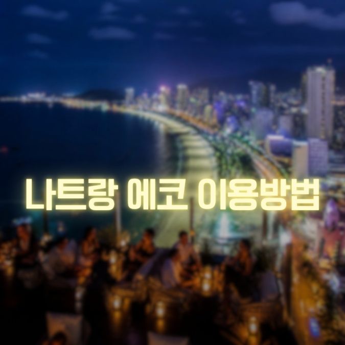 나트랑 에코 이용 팁 시간대·동선·현장에서 실수 줄이는 방법