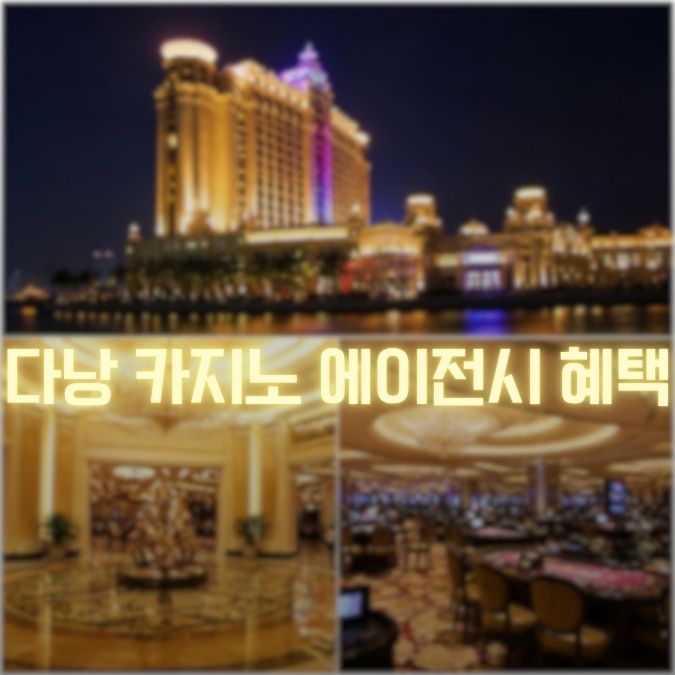 다낭 카지노 에이전시 이용 비교 숙박·픽드랍과 밤 일정 연결