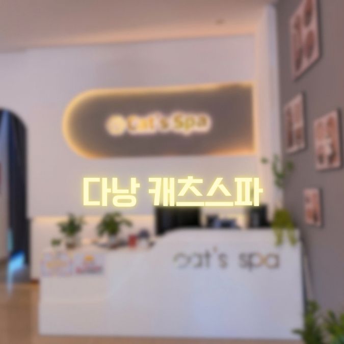 다낭 캐츠스파 CATS SPA|팜반동 림프 마사지 위치·가격 안내